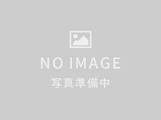 ��ʌ��z�J�s�厚���ԋv���̃}���V�����̉摜