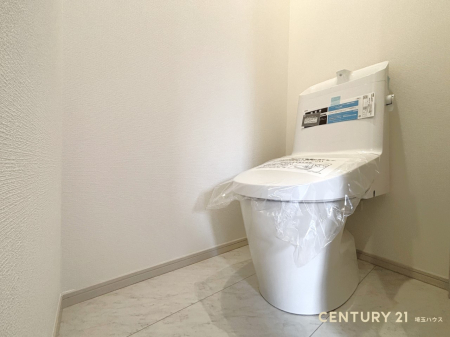 ��ʌ��z�J�s���ԋv�� �̐V�z��ˌ��Ẵg�C��