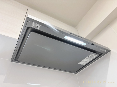 ��ʌ��������܎s�����擇�� �̒��Ã}���V�����̂��̑�����